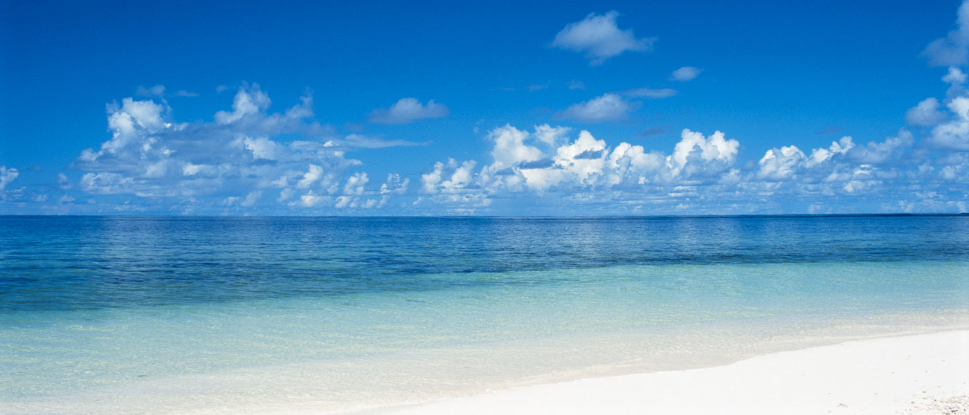 Siesta Key Beach and Sarasota, Fl Real Estate